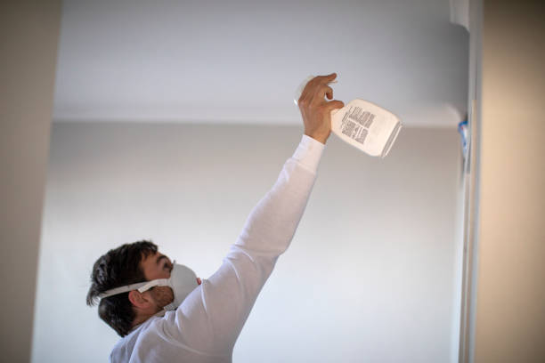 Best Water Damage Restoration  in Mount Plymouth, FL