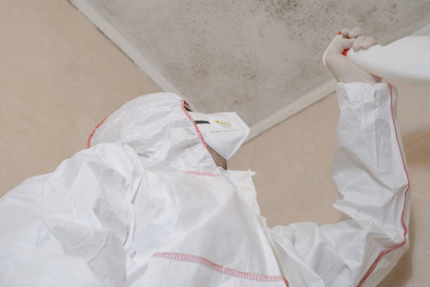 Best Residential Mold Removal  in Mount Plymouth, FL