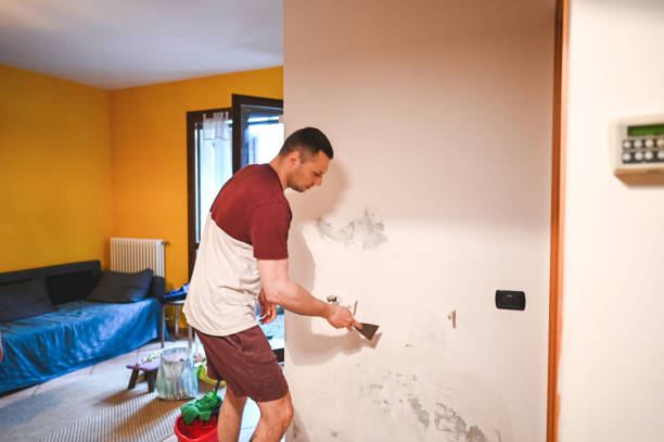 Best Certified Mold Removal  in Mount Plymouth, FL